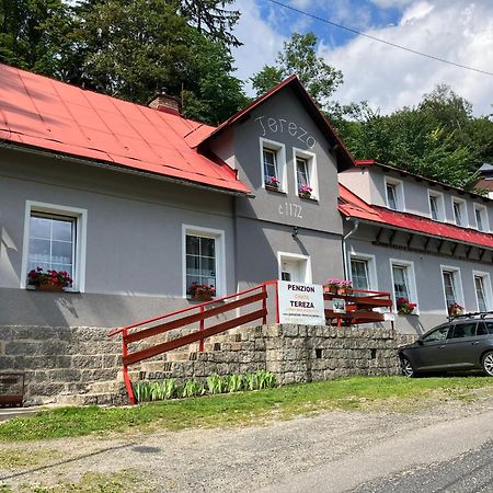 Chata Tereza Janov nad Nisou Eksteriør bilde